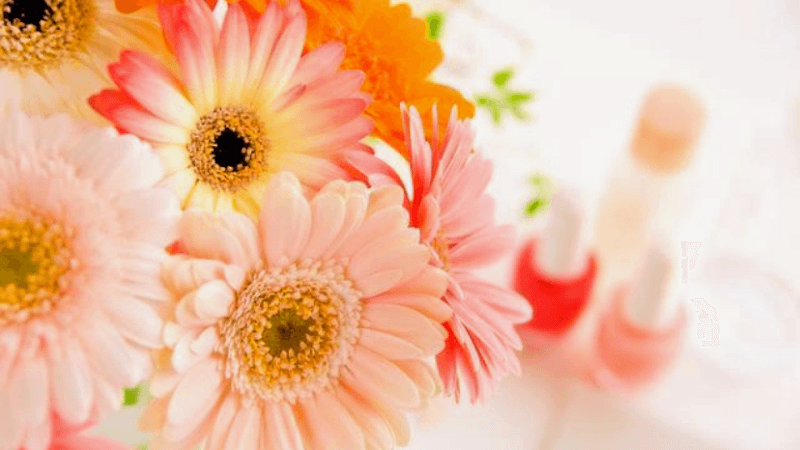 Nail salon Florir (フローリア)