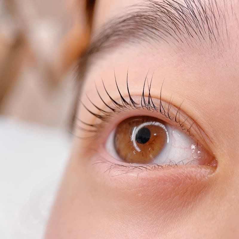 eyelash Bella