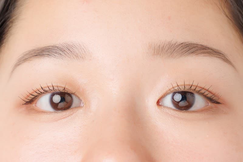 VINGT Eye Lash