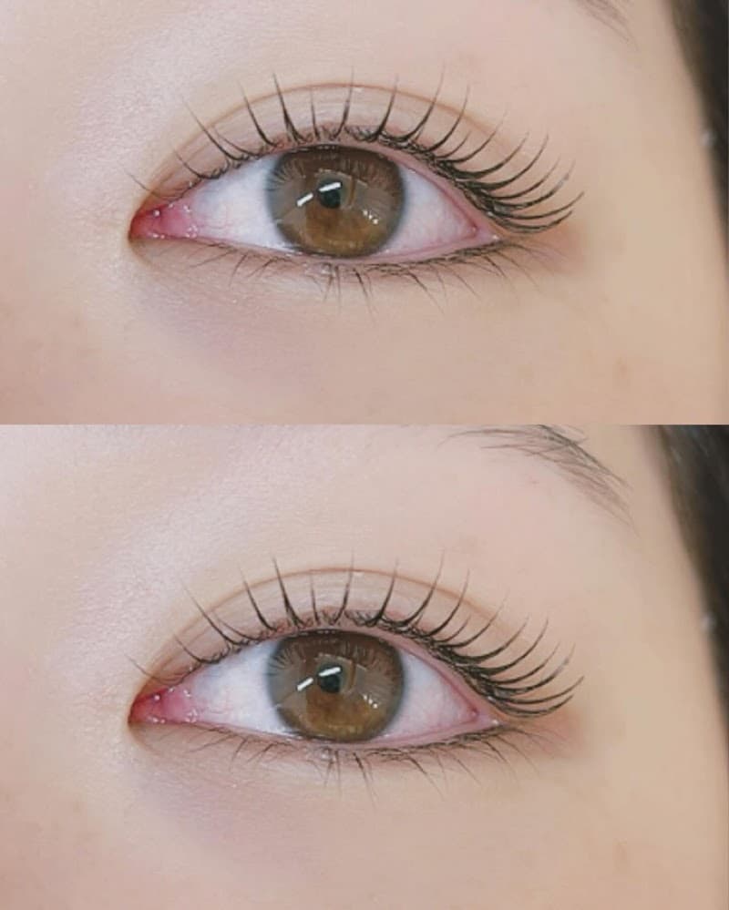 eyelash&eyebrow Miumoa【ミューモア】