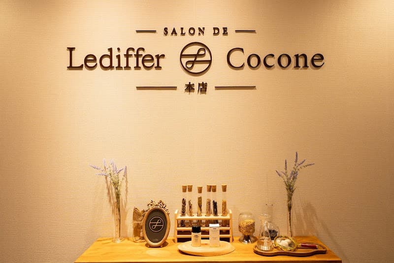 salon de ledifffer cocone