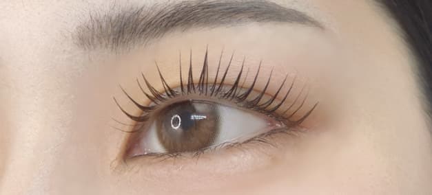 eyelashsalonAREY