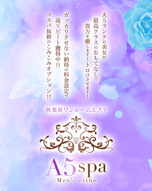 A5spa 秋葉原メンズ エステ