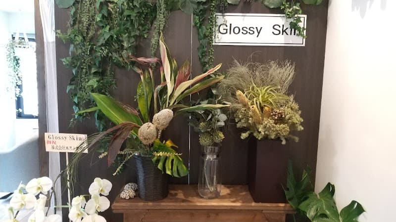 GlossySkin