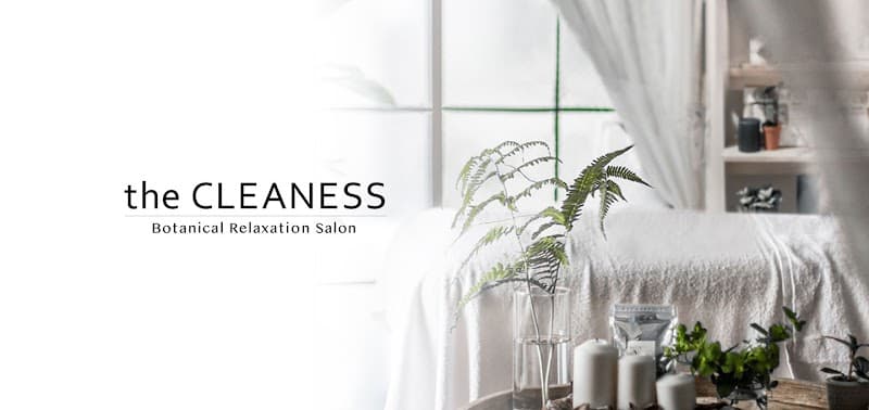 the CLEANESS(クリーネス)
